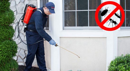 Terme Kemirgen İlaçlama böcek ilaçlama ve haşere kontrolü — ilaclama-tr.com